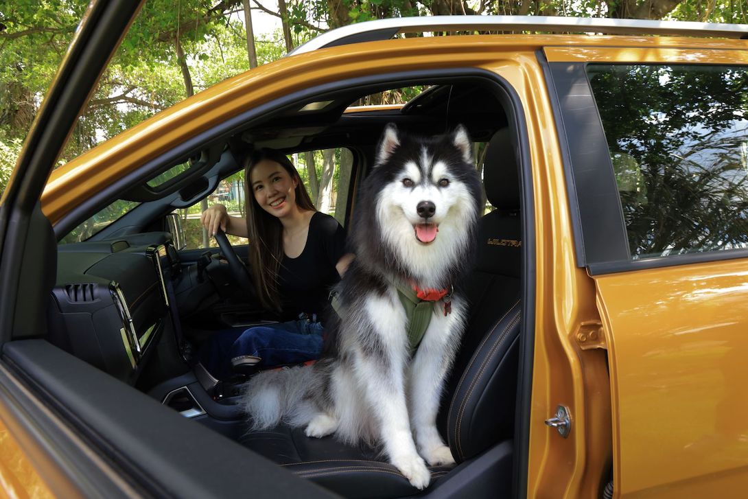 Ford_Traveling_with_Pets