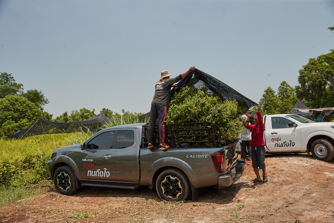 นิสสัน นาวารา คิงแค็บ