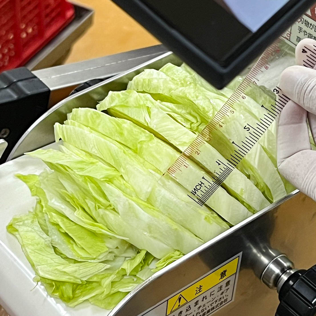 Yoshiizumi Model YS-6500W – High-Performance Universal Slicer Yoshiizumi Model YS-6500W – High-Performance Universal Slicer