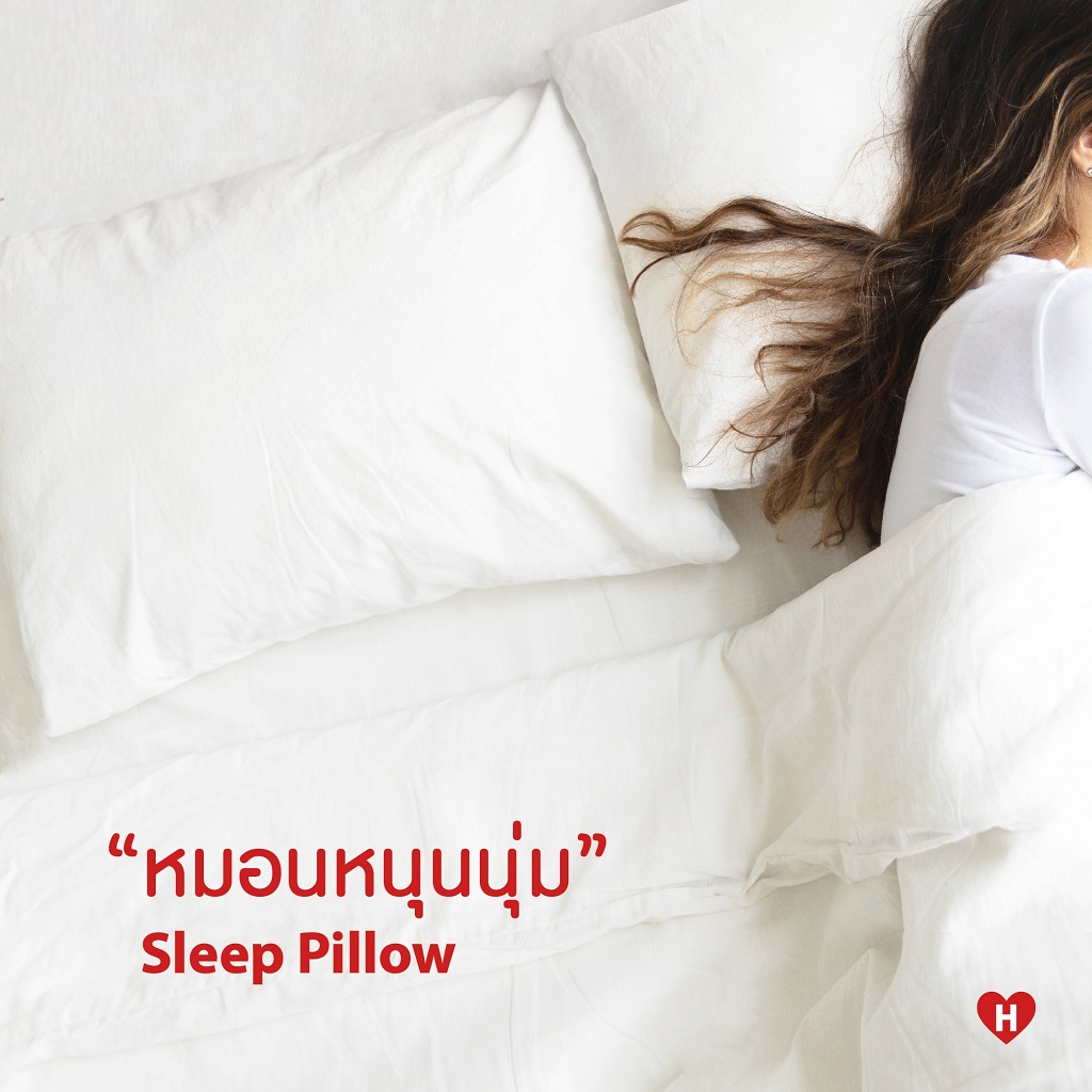 หมอนหนุนนุ่ม Sleep Pillow รุ่น standard ขนาด 19x29 นิ้ว