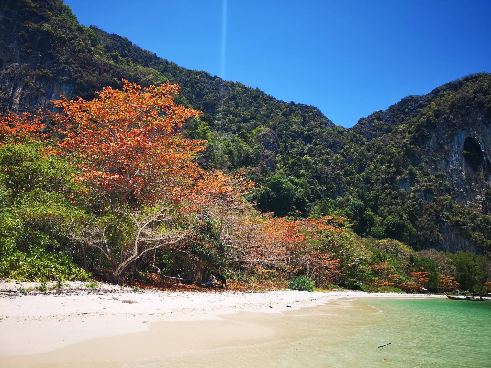 เกาะเหลาเหลียง เกาะหนึ่งในตรังที่มีธรรมชาติอุดมสมบูรณ์ที่สุด