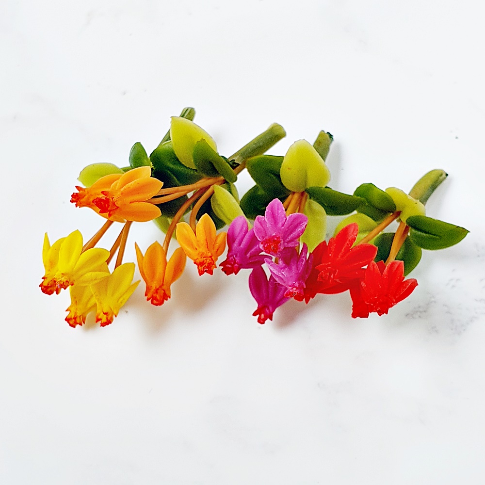 Miniatures Handmade Cyclamen Clay Flowers 1:12 Scale