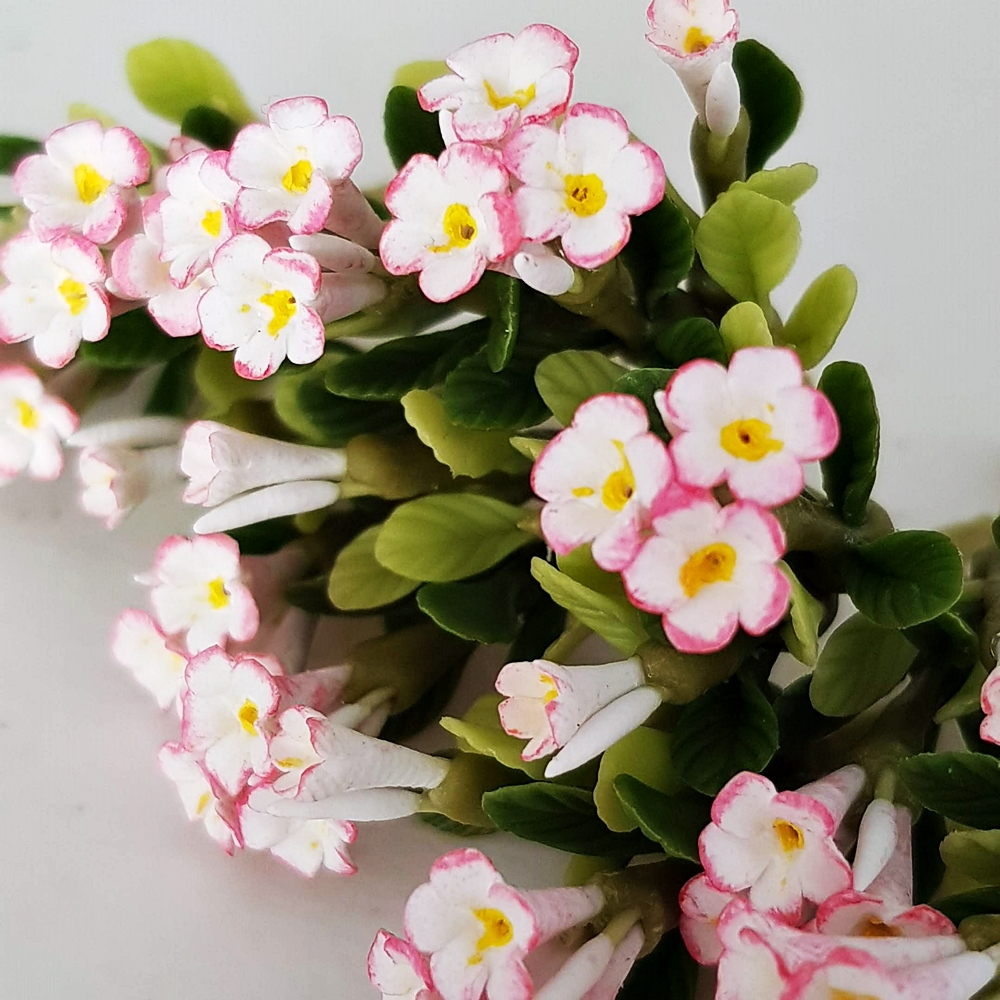 5x White Pink Mini Plumeria Clay Flowers Handmade Dollhouse Miniature Fairy Garden Decoration