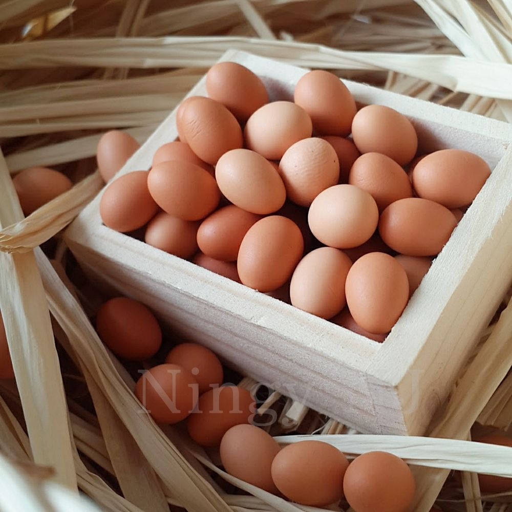 10x Loose Egg Dollhouse Miniatures Food Supply Deco