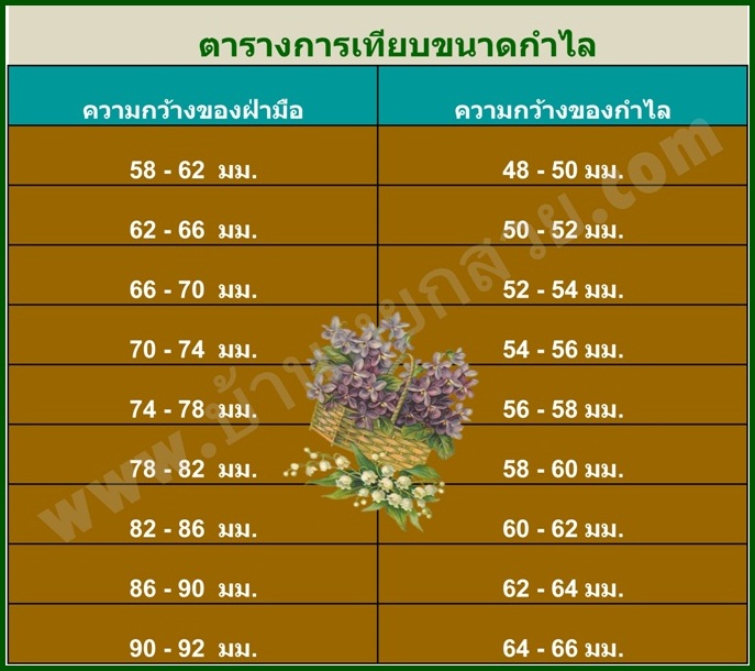 My Image 23