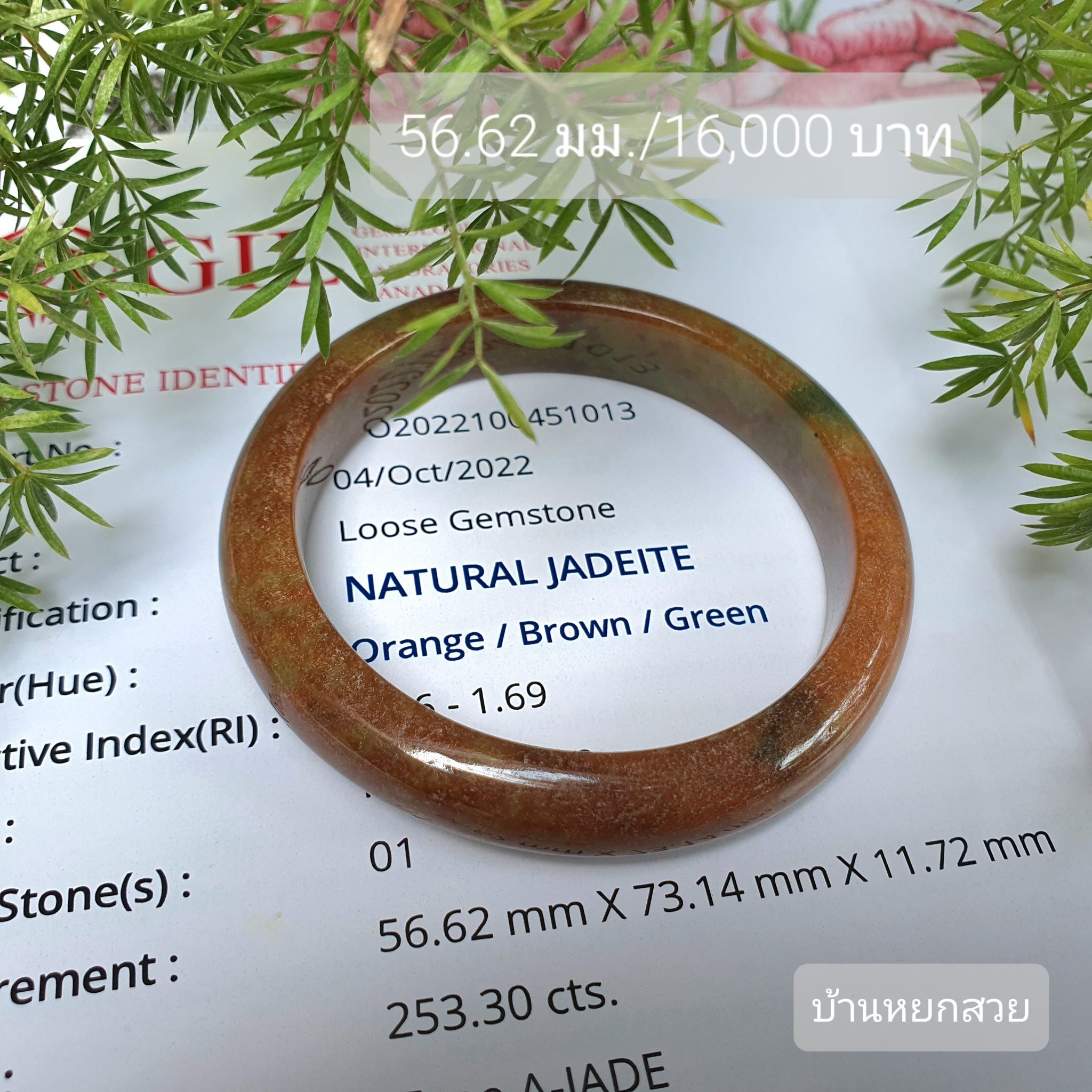 หยก หยกพม่า กำไลหยก กำไลหยกแท้ กำไลหยกพม่า หยก กำไลหยก กำไลหยกแท้ กำไลหยกพม่า หยกพม่าแท้ หยกจักรพรรดิ์ หยกพร้อมใบเซอร์ สร้อยข้อมือหยก แหวนหยก จี้หยก ต่างหูหยก ตุ้มหูหยก สร้อยข้อมือหยก หยก