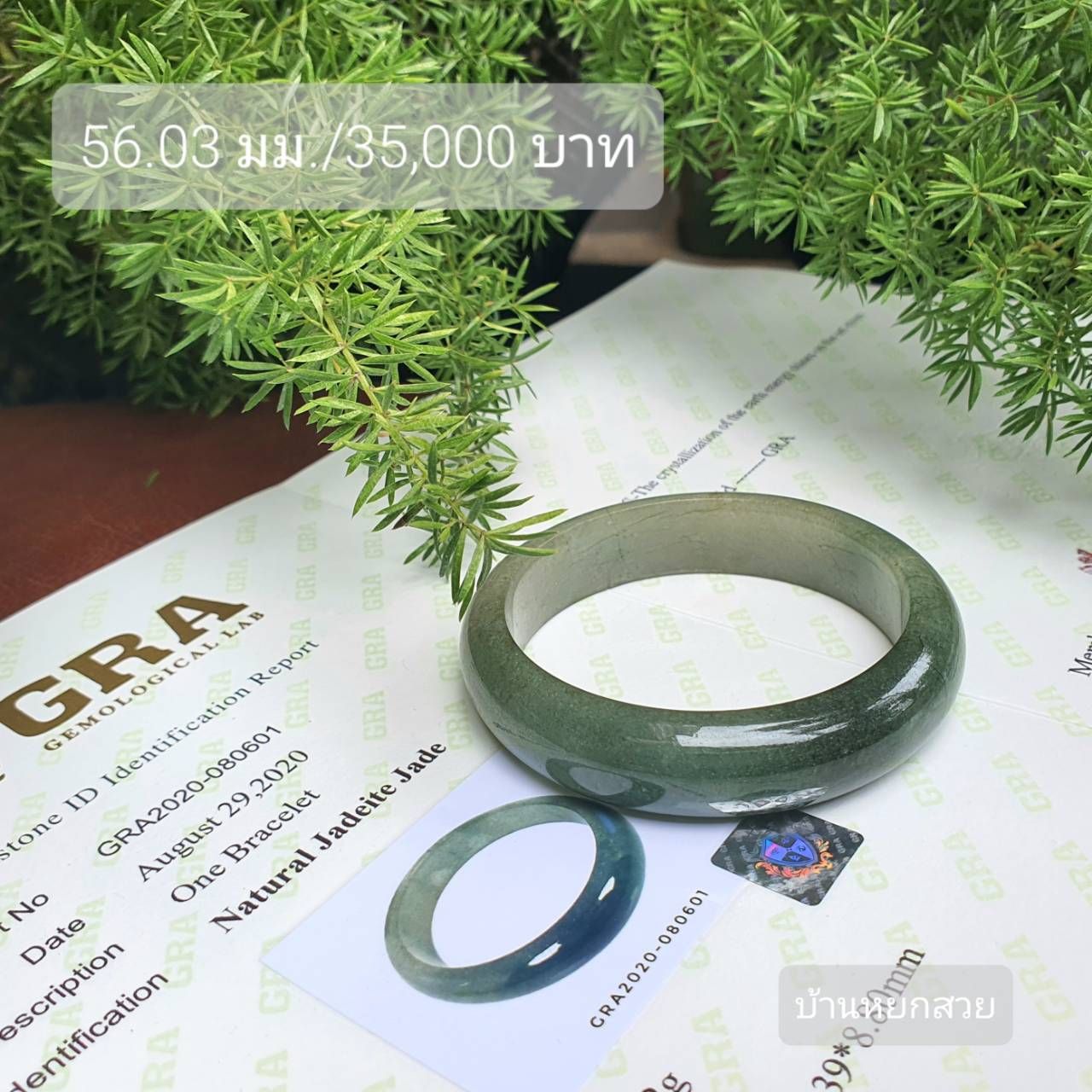 กำไล กำไลหยก หยกพม่า หยกแท้ กำไลหยกใบเซอร์ หยกแท้ หยกพม่า กำไลหยก กำไลหยกแท้ กำไลหยกพม่า หยกพม่าแท้ หยกจักรพรรดิ์ หยกพร้อมใบเซอร์ สร้อยข้อมือหยก แหวนหยก จี้หยก ต่างหูหยก ตุ้มหูหยก สร้อยข้อมือหยก หยก