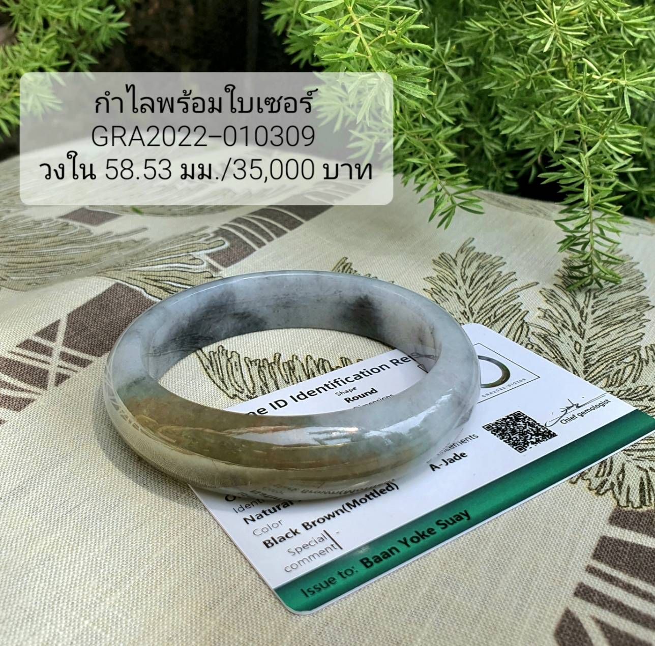 กำไล กำไลหยก หยกพม่า หยกแท้ กำไลหยกใบเซอร์ หยก กำไลหยก กำไลหยกแท้ กำไลหยกพม่า หยกพม่าแท้ หยกจักรพรรดิ์ หยกพร้อมใบเซอร์ สร้อยข้อมือหยก แหวนหยก จี้หยก ต่างหูหยก ตุ้มหูหยก สร้อยข้อมือหยก หยก