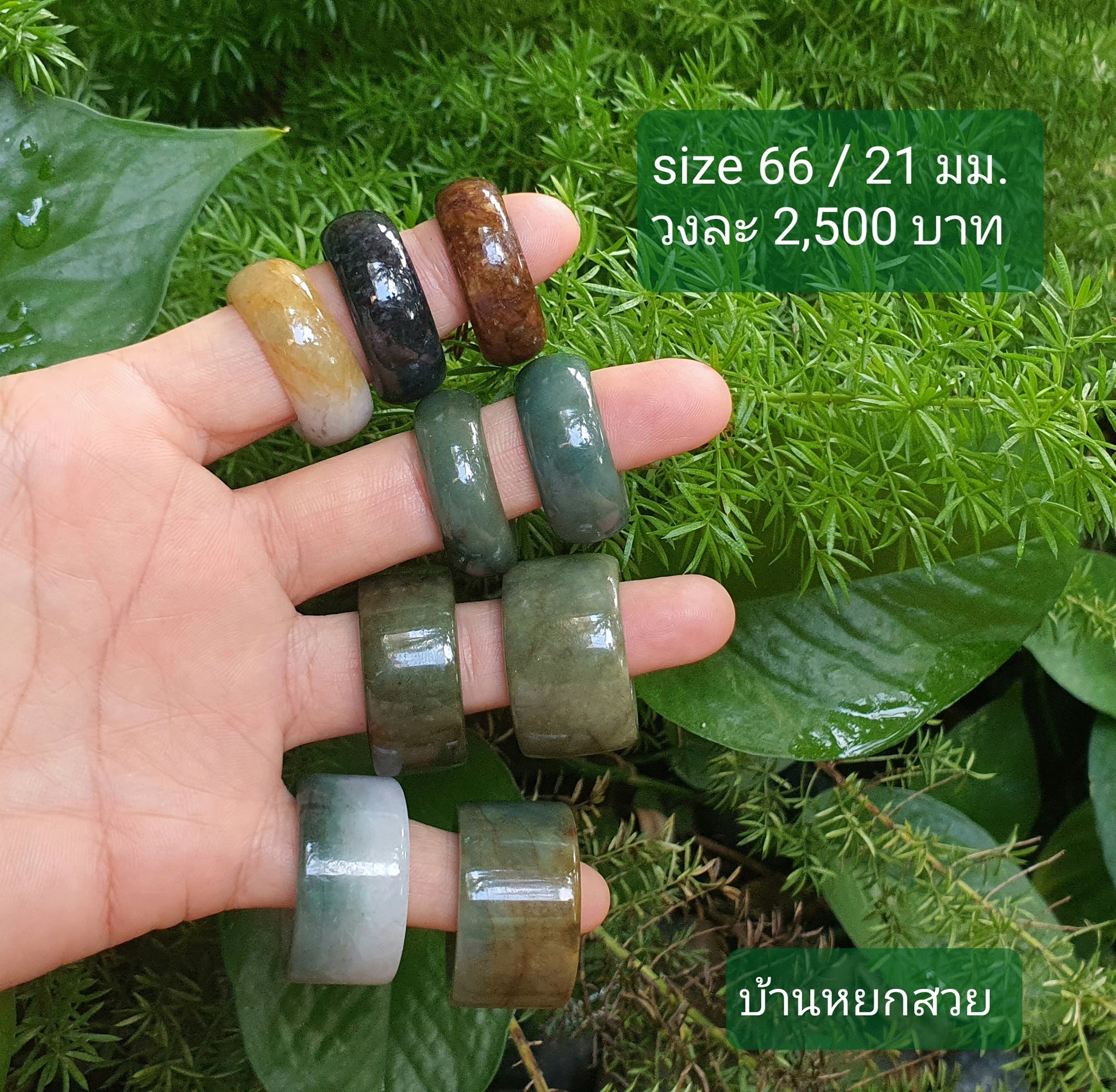 แหวนหยก แหวน แหวนหยกพม่า แหวนหยกพม่าแท้ หยกแท้ หยกพม่า กำไลหยก กำไลหยกแท้ กำไลหยกพม่า หยกพม่าแท้ หยกจักรพรรดิ์ หยกพร้อมใบเซอร์ สร้อยข้อมือหยก แหวนหยก จี้หยก ต่างหูหยก ตุ้มหูหยก สร้อยข้อมือหยก หยก แหวนหยก แหวน แหวนหยกพม่า แหวนหยกพม่าแท้ หยกแท้ หยกพม่า กำไลหยก กำไลหยกแท้ กำไลหยกพม่า หยกพม่าแท้ หยกจักรพรรดิ์ หยกพร้อมใบเซอร์ สร้อยข้อมือหยก แหวนหยก จี้หยก ต่างหูหยก ตุ้มหูหยก สร้อยข้อมือหยก หยก