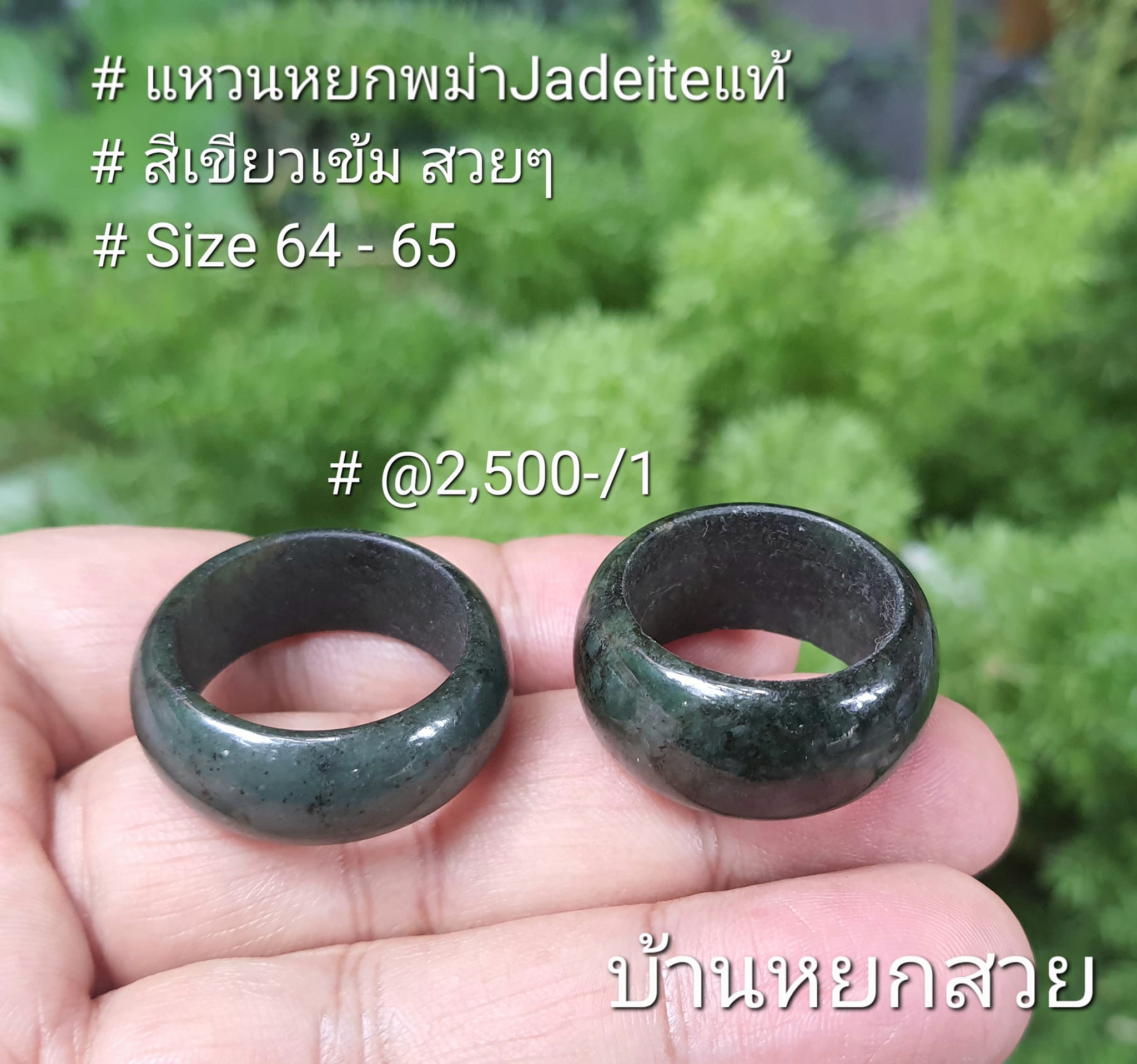 แหวนหยก แหวน แหวนหยกพม่า แหวนหยกพม่าแท้ หยกแท้ หยกพม่า กำไลหยก กำไลหยกแท้ กำไลหยกพม่า หยกพม่าแท้ หยกจักรพรรดิ์ หยกพร้อมใบเซอร์ สร้อยข้อมือหยก แหวนหยก จี้หยก ต่างหูหยก ตุ้มหูหยก สร้อยข้อมือหยก หยก แหวนหยก แหวน แหวนหยกพม่า แหวนหยกพม่าแท้ หยกแท้ หยกพม่า กำไลหยก กำไลหยกแท้ กำไลหยกพม่า หยกพม่าแท้ หยกจักรพรรดิ์ หยกพร้อมใบเซอร์ สร้อยข้อมือหยก แหวนหยก จี้หยก ต่างหูหยก ตุ้มหูหยก สร้อยข้อมือหยก หยก