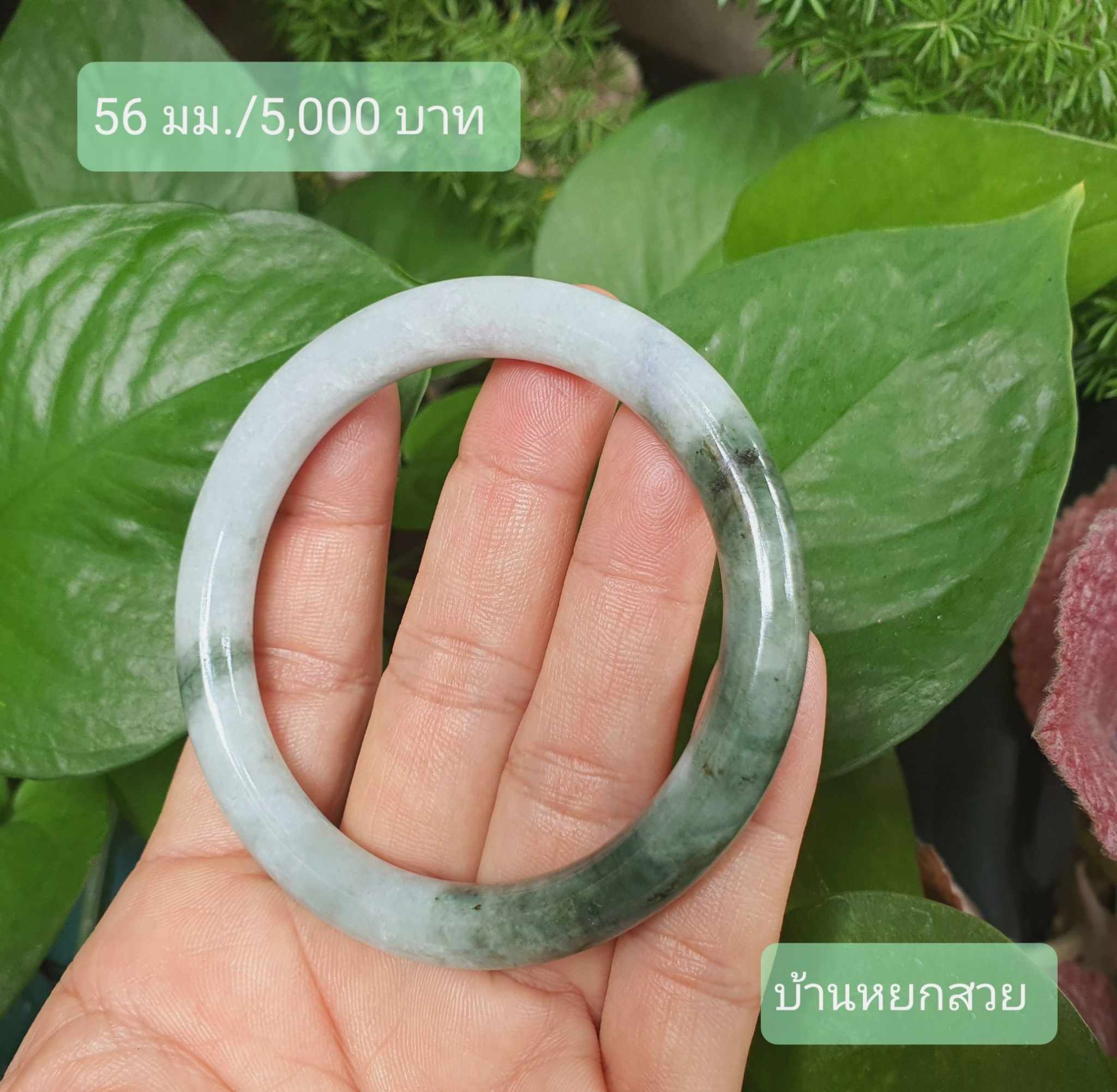 หยกแท้ หยกพม่า กำไลหยก กำไลหยกแท้ กำไลหยกพม่า หยกพม่าแท้ หยกจักรพรรดิ์ หยกพร้อมใบเซอร์ สร้อยข้อมือหยก แหวนหยก จี้หยก ต่างหูหยก ตุ้มหูหยก สร้อยข้อมือหยก หยก หยกแท้ หยกพม่า กำไลหยก กำไลหยกแท้ กำไลหยกพม่า หยกพม่าแท้ หยกจักรพรรดิ์ หยกพร้อมใบเซอร์ สร้อยข้อมือหยก แหวนหยก จี้หยก ต่างหูหยก ตุ้มหูหยก สร้อยข้อมือหยก หยก