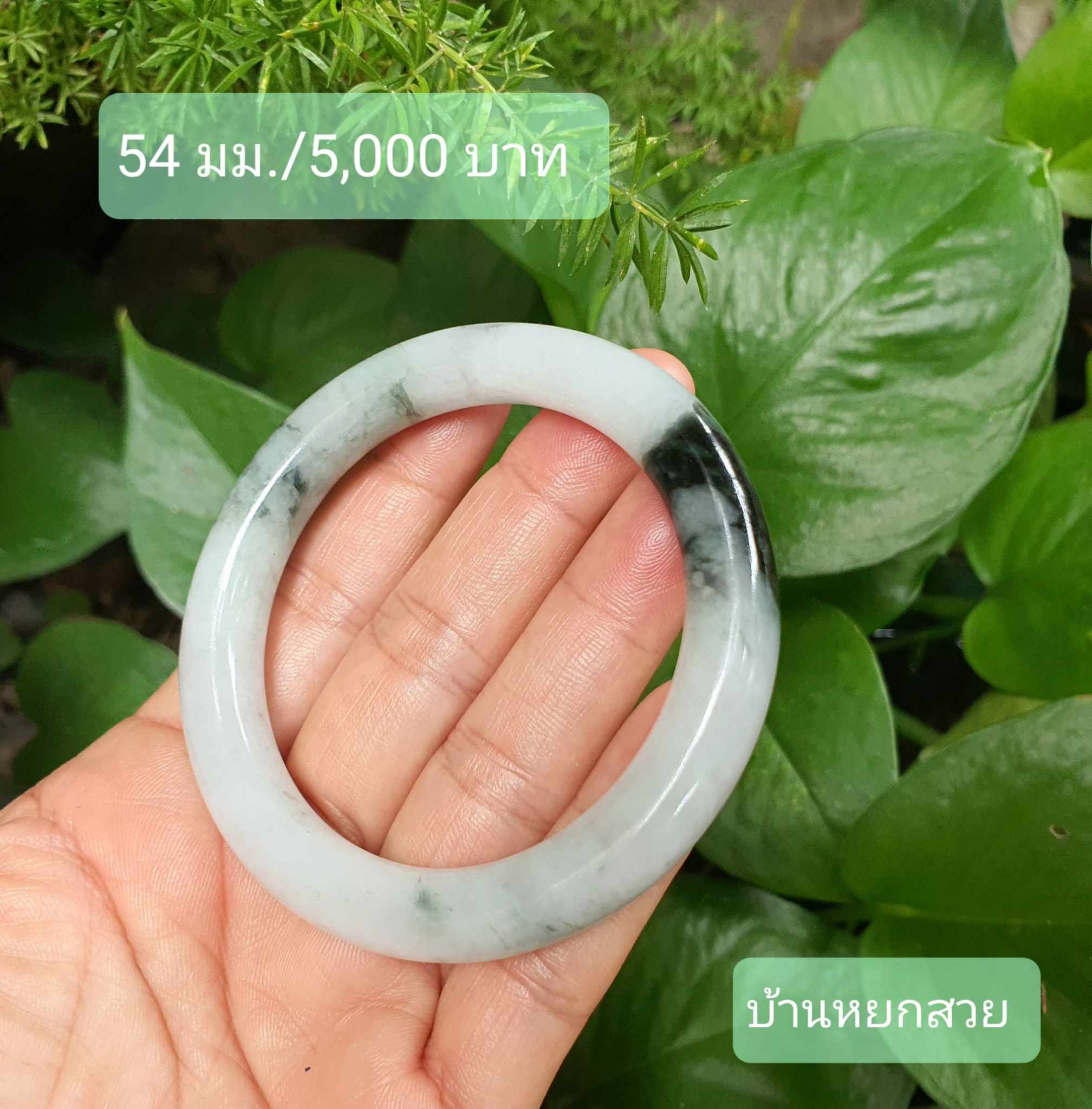 หยกแท้ หยกพม่า กำไลหยก กำไลหยกแท้ กำไลหยกพม่า หยกพม่าแท้ หยกจักรพรรดิ์ หยกพร้อมใบเซอร์ สร้อยข้อมือหยก แหวนหยก จี้หยก ต่างหูหยก ตุ้มหูหยก สร้อยข้อมือหยก หยก หยกแท้ หยกพม่า กำไลหยก กำไลหยกแท้ กำไลหยกพม่า หยกพม่าแท้ หยกจักรพรรดิ์ หยกพร้อมใบเซอร์ สร้อยข้อมือหยก แหวนหยก จี้หยก ต่างหูหยก ตุ้มหูหยก สร้อยข้อมือหยก หยก