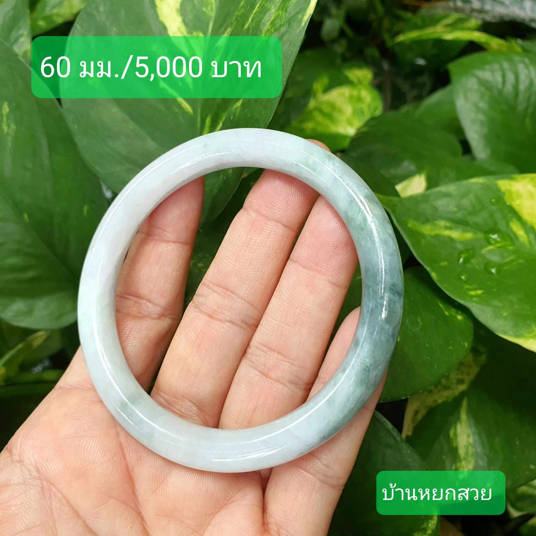 หยกแท้ หยกพม่า กำไลหยก กำไลหยกแท้ กำไลหยกพม่า หยกพม่าแท้ หยกจักรพรรดิ์ หยกพร้อมใบเซอร์ สร้อยข้อมือหยก แหวนหยก จี้หยก ต่างหูหยก ตุ้มหูหยก สร้อยข้อมือหยก หยก หยกแท้ หยกพม่า กำไลหยก กำไลหยกแท้ กำไลหยกพม่า หยกพม่าแท้ หยกจักรพรรดิ์ หยกพร้อมใบเซอร์ สร้อยข้อมือหยก แหวนหยก จี้หยก ต่างหูหยก ตุ้มหูหยก สร้อยข้อมือหยก หยก