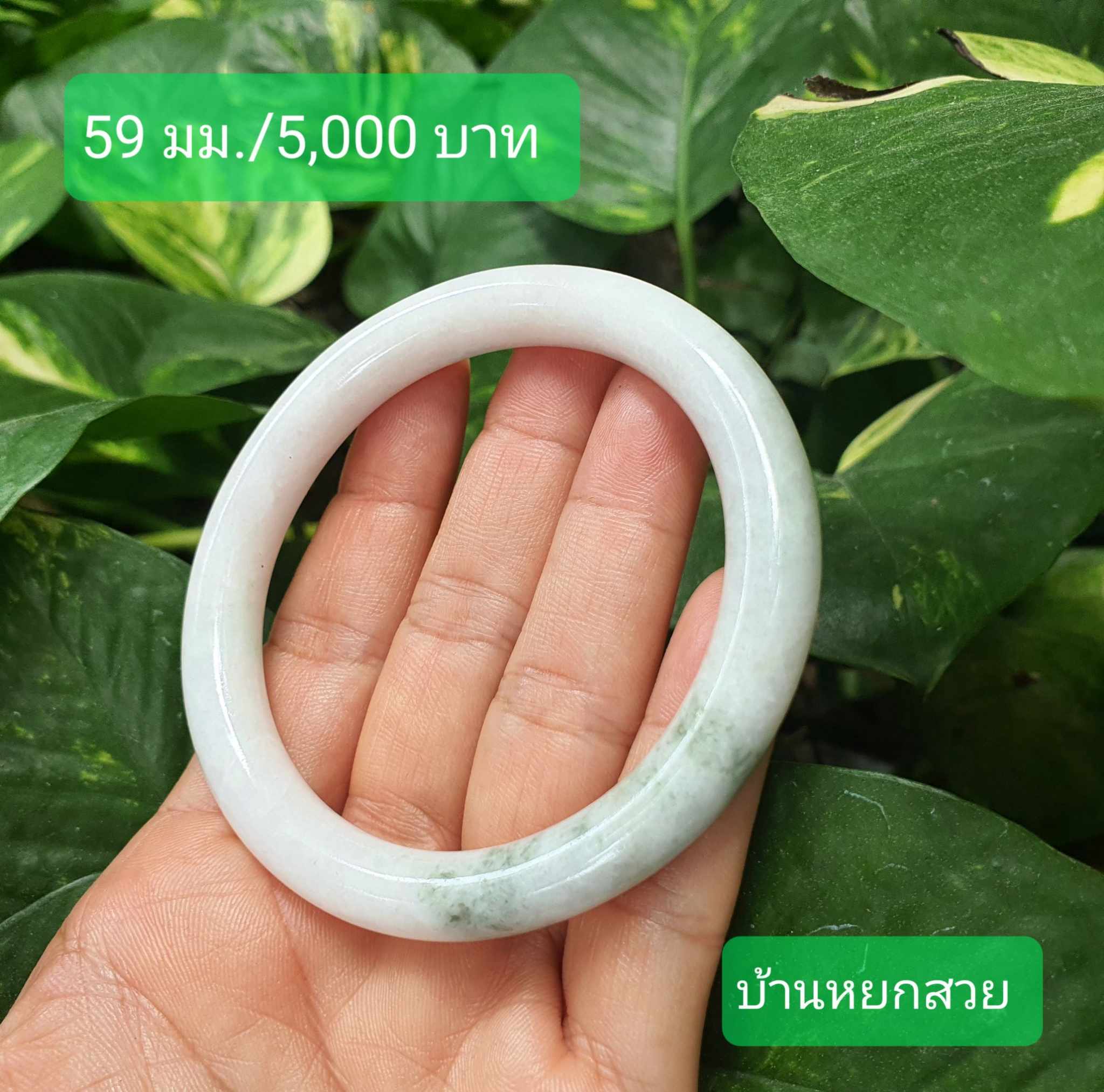 หยกแท้ หยกพม่า กำไลหยก กำไลหยกแท้ กำไลหยกพม่า หยกพม่าแท้ หยกจักรพรรดิ์ หยกพร้อมใบเซอร์ สร้อยข้อมือหยก แหวนหยก จี้หยก ต่างหูหยก ตุ้มหูหยก สร้อยข้อมือหยก หยก หยกแท้ หยกพม่า กำไลหยก กำไลหยกแท้ กำไลหยกพม่า หยกพม่าแท้ หยกจักรพรรดิ์ หยกพร้อมใบเซอร์ สร้อยข้อมือหยก แหวนหยก จี้หยก ต่างหูหยก ตุ้มหูหยก สร้อยข้อมือหยก หยก