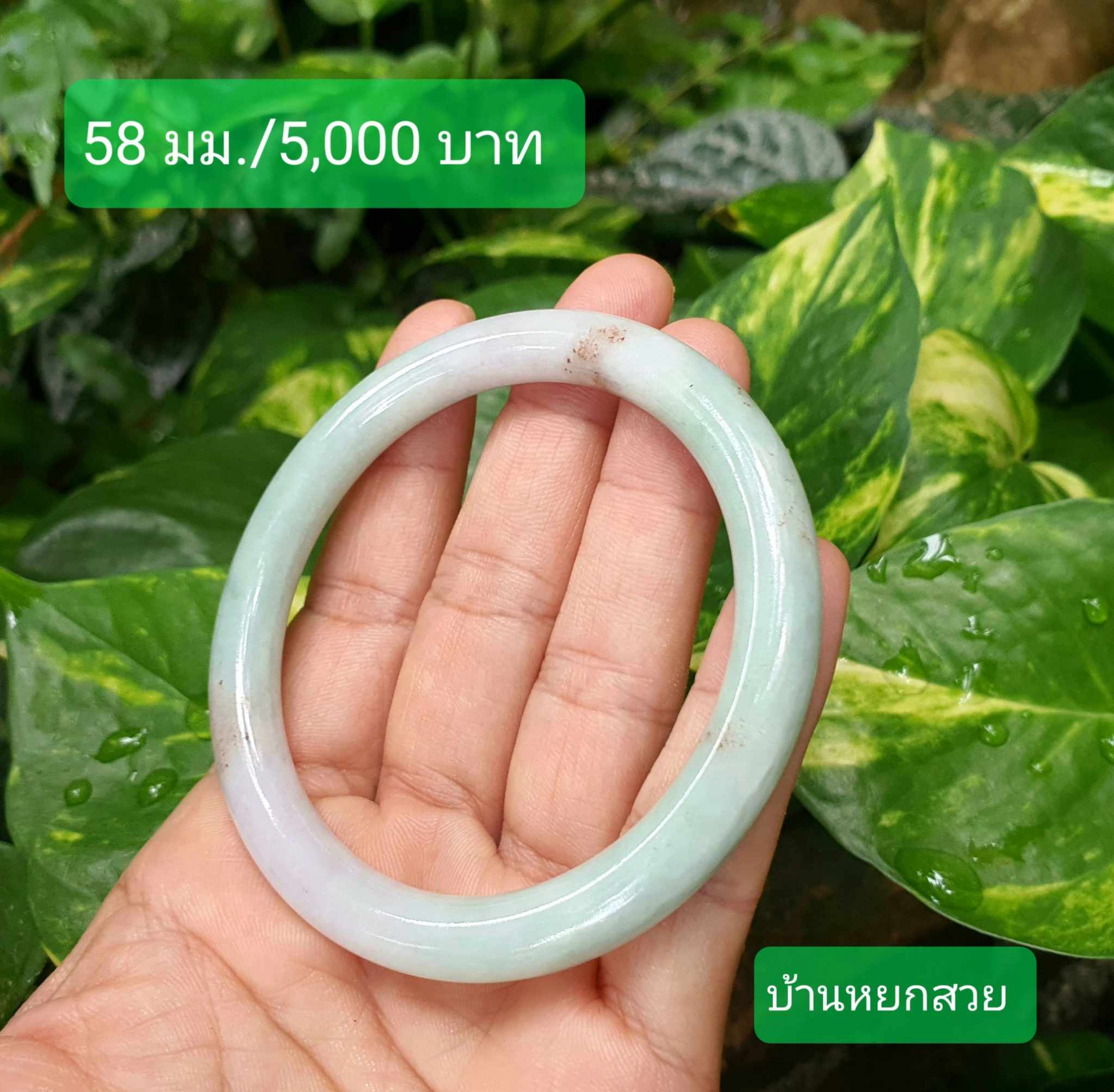 หยกแท้ หยกพม่า กำไลหยก กำไลหยกแท้ กำไลหยกพม่า หยกพม่าแท้ หยกจักรพรรดิ์ หยกพร้อมใบเซอร์ สร้อยข้อมือหยก แหวนหยก จี้หยก ต่างหูหยก ตุ้มหูหยก สร้อยข้อมือหยก หยก หยกแท้ หยกพม่า กำไลหยก กำไลหยกแท้ กำไลหยกพม่า หยกพม่าแท้ หยกจักรพรรดิ์ หยกพร้อมใบเซอร์ สร้อยข้อมือหยก แหวนหยก จี้หยก ต่างหูหยก ตุ้มหูหยก สร้อยข้อมือหยก หยก