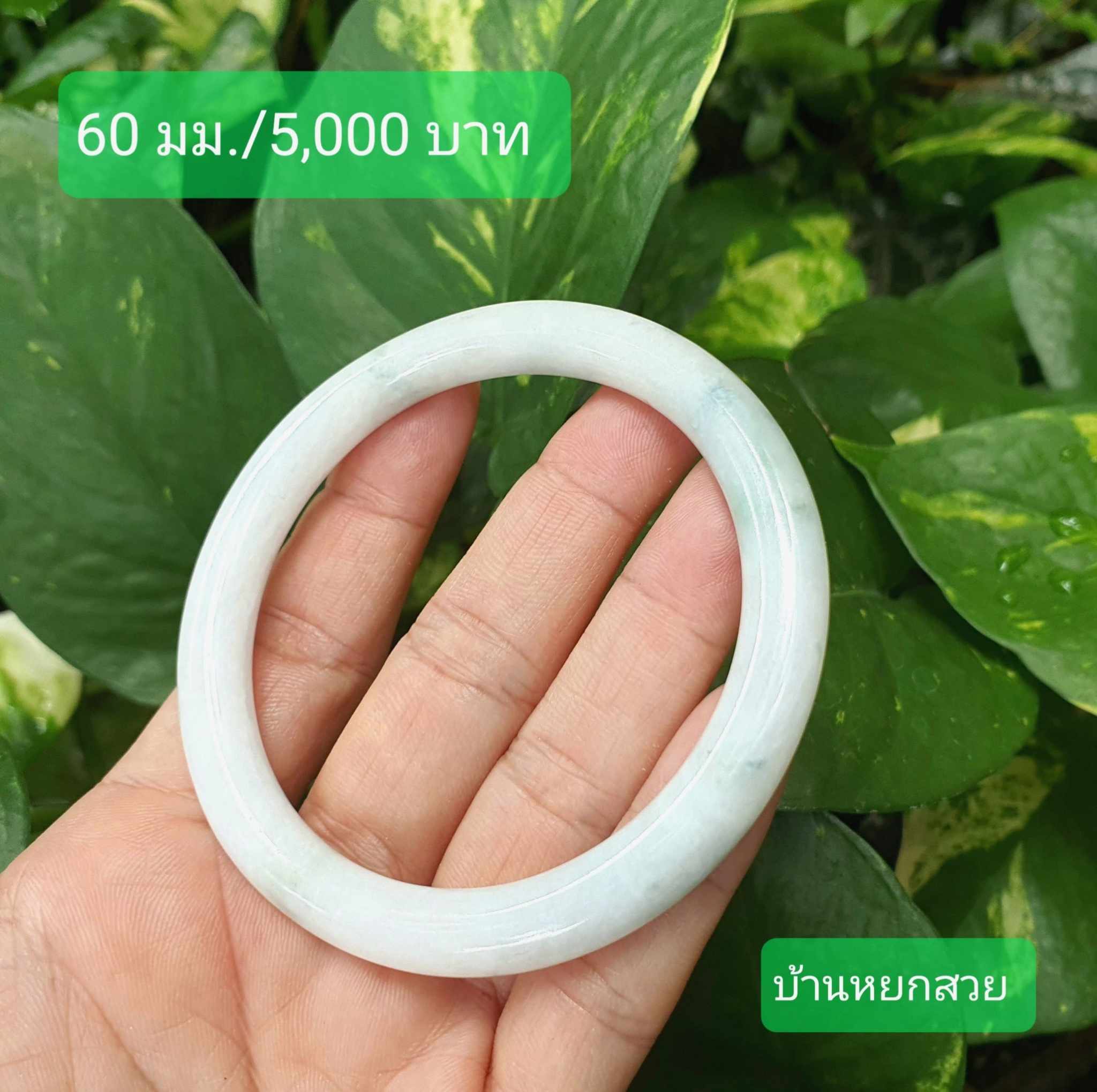 หยกแท้ หยกพม่า กำไลหยก กำไลหยกแท้ กำไลหยกพม่า หยกพม่าแท้ หยกจักรพรรดิ์ หยกพร้อมใบเซอร์ สร้อยข้อมือหยก แหวนหยก จี้หยก ต่างหูหยก ตุ้มหูหยก สร้อยข้อมือหยก หยก หยกแท้ หยกพม่า กำไลหยก กำไลหยกแท้ กำไลหยกพม่า หยกพม่าแท้ หยกจักรพรรดิ์ หยกพร้อมใบเซอร์ สร้อยข้อมือหยก แหวนหยก จี้หยก ต่างหูหยก ตุ้มหูหยก สร้อยข้อมือหยก หยก