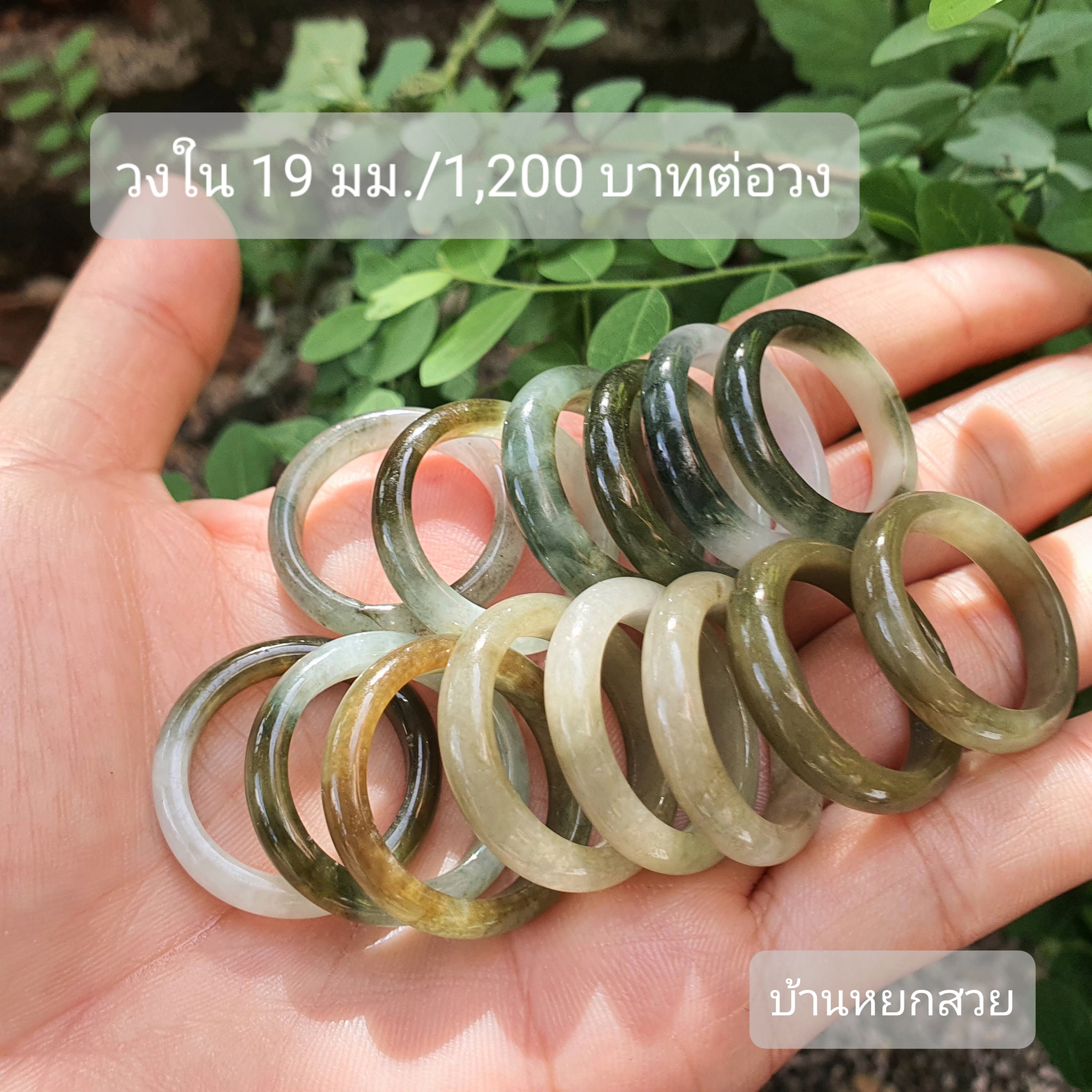 แหวนหยก แหวน แหวนหยกพม่า แหวนหยกพม่าแท้ หยกแท้ หยกพม่า กำไลหยก กำไลหยกแท้ กำไลหยกพม่า หยกพม่าแท้ หยกจักรพรรดิ์ หยกพร้อมใบเซอร์ สร้อยข้อมือหยก แหวนหยก จี้หยก ต่างหูหยก ตุ้มหูหยก สร้อยข้อมือหยก หยก แหวนหยก แหวน แหวนหยกพม่า แหวนหยกพม่าแท้ หยกแท้ หยกพม่า กำไลหยก กำไลหยกแท้ กำไลหยกพม่า หยกพม่าแท้ หยกจักรพรรดิ์ หยกพร้อมใบเซอร์ สร้อยข้อมือหยก แหวนหยก จี้หยก ต่างหูหยก ตุ้มหูหยก สร้อยข้อมือหยก หยก