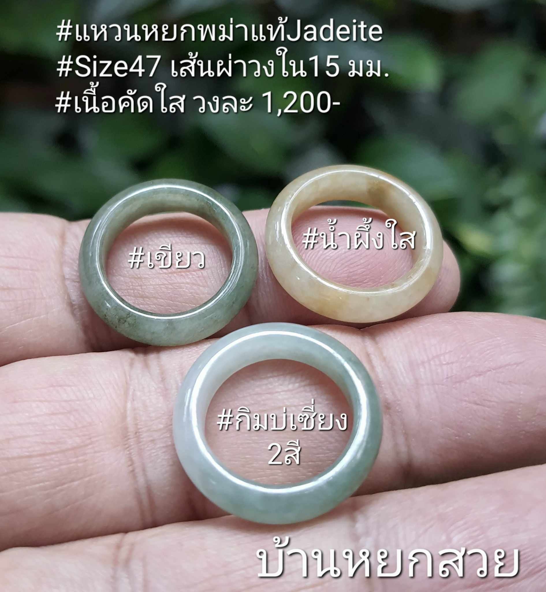 แหวนหยก แหวน แหวนหยกพม่า แหวนหยกพม่าแท้ หยกแท้ หยกพม่า กำไลหยก กำไลหยกแท้ กำไลหยกพม่า หยกพม่าแท้ หยกจักรพรรดิ์ หยกพร้อมใบเซอร์ สร้อยข้อมือหยก แหวนหยก จี้หยก ต่างหูหยก ตุ้มหูหยก สร้อยข้อมือหยก หยก แหวนหยก แหวน แหวนหยกพม่า แหวนหยกพม่าแท้ หยกแท้ หยกพม่า กำไลหยก กำไลหยกแท้ กำไลหยกพม่า หยกพม่าแท้ หยกจักรพรรดิ์ หยกพร้อมใบเซอร์ สร้อยข้อมือหยก แหวนหยก จี้หยก ต่างหูหยก ตุ้มหูหยก สร้อยข้อมือหยก หยก