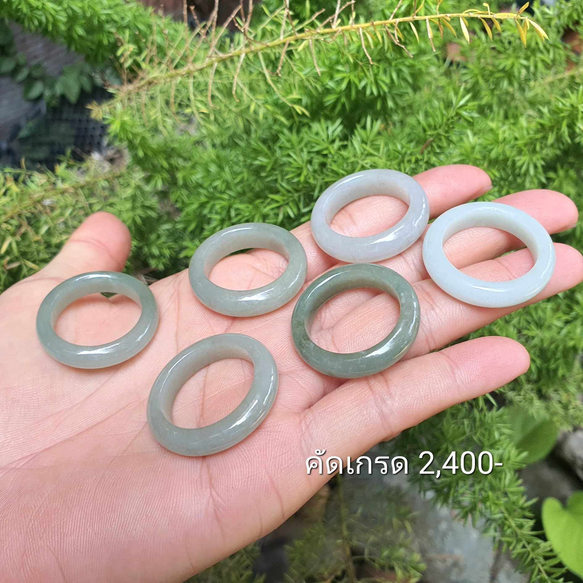 แหวนหยก แหวน แหวนหยกพม่า แหวนหยกพม่าแท้ หยกแท้ หยกพม่า กำไลหยก กำไลหยกแท้ กำไลหยกพม่า หยกพม่าแท้ หยกจักรพรรดิ์ หยกพร้อมใบเซอร์ สร้อยข้อมือหยก แหวนหยก จี้หยก ต่างหูหยก ตุ้มหูหยก สร้อยข้อมือหยก หยก แหวนหยก แหวน แหวนหยกพม่า แหวนหยกพม่าแท้ หยกแท้ หยกพม่า กำไลหยก กำไลหยกแท้ กำไลหยกพม่า หยกพม่าแท้ หยกจักรพรรดิ์ หยกพร้อมใบเซอร์ สร้อยข้อมือหยก แหวนหยก จี้หยก ต่างหูหยก ตุ้มหูหยก สร้อยข้อมือหยก หยก