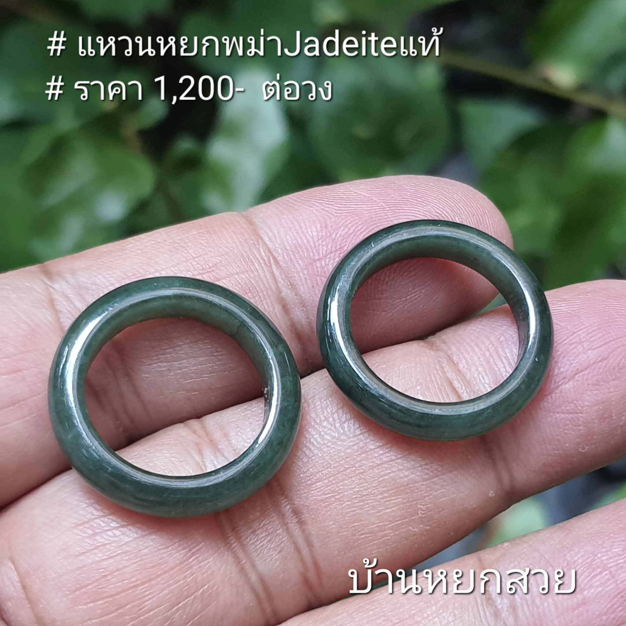 แหวนหยก แหวน แหวนหยกพม่า แหวนหยกพม่าแท้ หยกแท้ หยกพม่า กำไลหยก กำไลหยกแท้ กำไลหยกพม่า หยกพม่าแท้ หยกจักรพรรดิ์ หยกพร้อมใบเซอร์ สร้อยข้อมือหยก แหวนหยก จี้หยก ต่างหูหยก ตุ้มหูหยก สร้อยข้อมือหยก หยก แหวนหยก แหวน แหวนหยกพม่า แหวนหยกพม่าแท้ หยกแท้ หยกพม่า กำไลหยก กำไลหยกแท้ กำไลหยกพม่า หยกพม่าแท้ หยกจักรพรรดิ์ หยกพร้อมใบเซอร์ สร้อยข้อมือหยก แหวนหยก จี้หยก ต่างหูหยก ตุ้มหูหยก สร้อยข้อมือหยก หยก