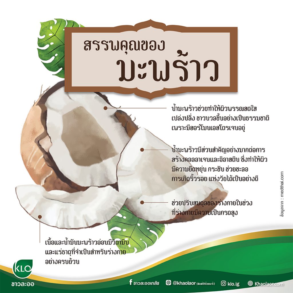 properties of coconut