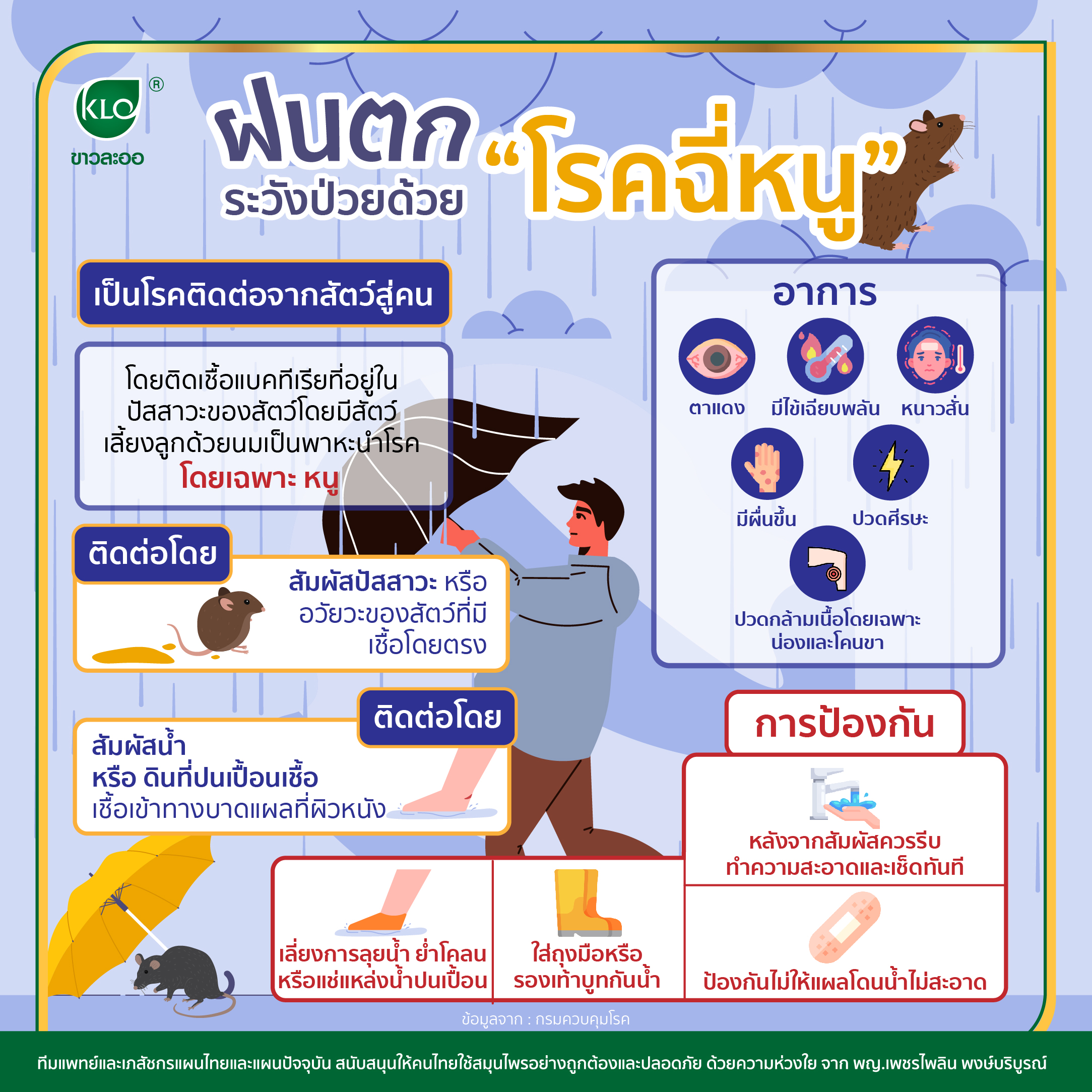 It's raining. Be careful to get sick with "leptospirosis"