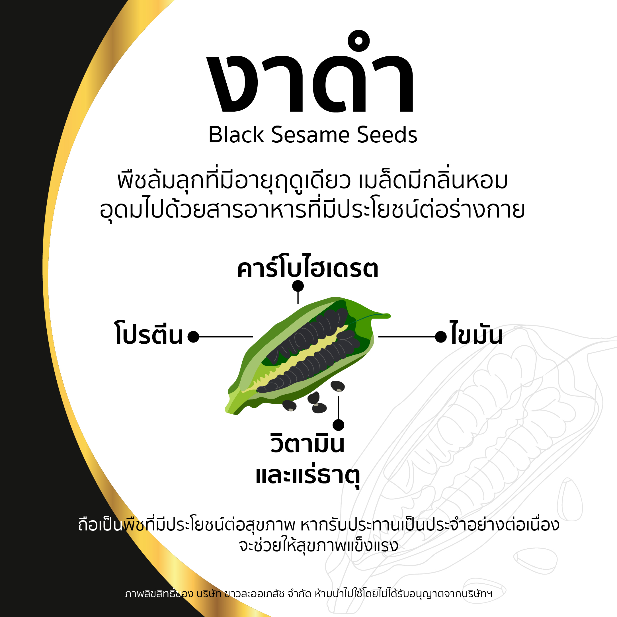 งาดำ black sesame seed