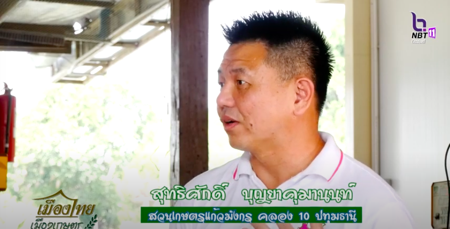 ออกรายการเมืองไทย เมืองเกษตร สวนเกษตรแก้วมังกร รังสิตคลอง 10