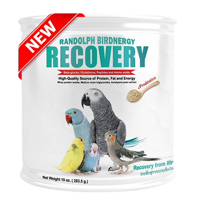 Randolph Birdnergy Recovery