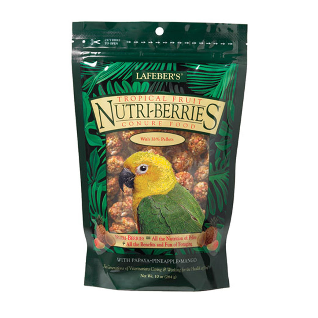 Tropical Fruit Nutri-Berries for Conures