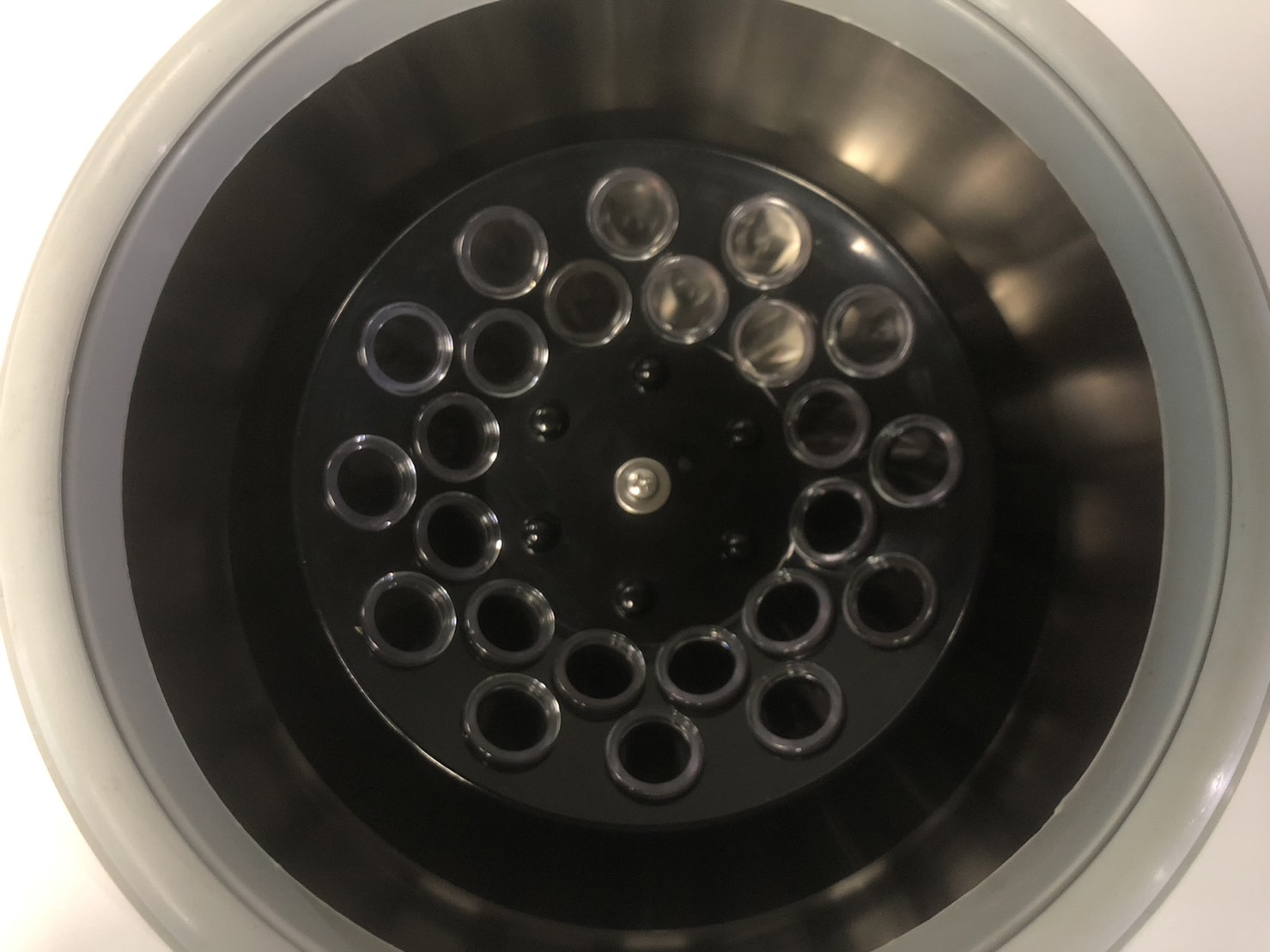 สภาพหัวปั่น