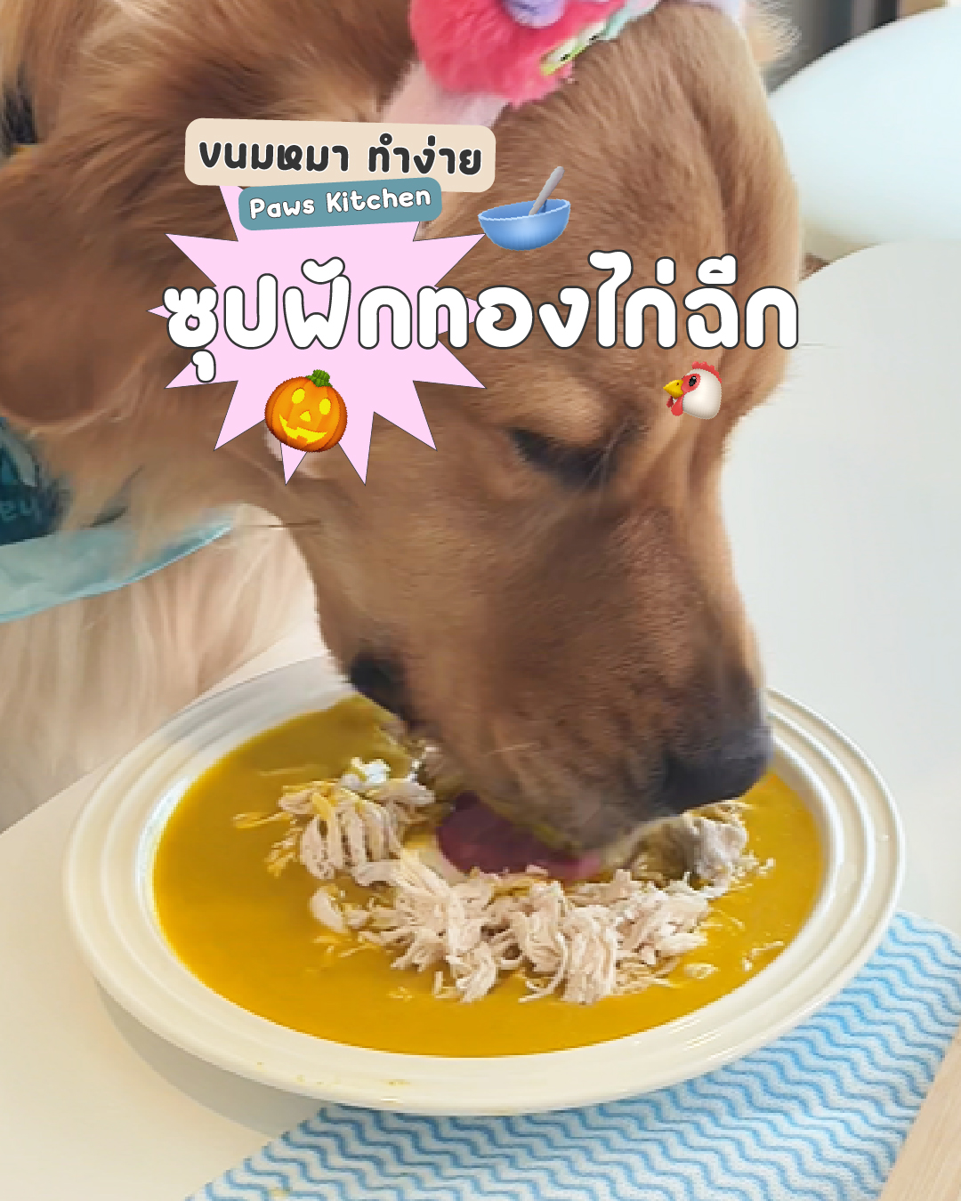 อาหารสุนัขโฮมเมด