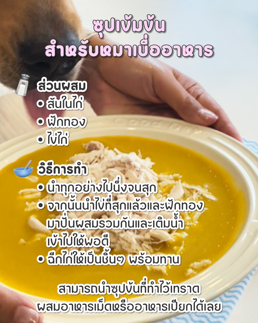 อาหารสุนัขโฮมเมด