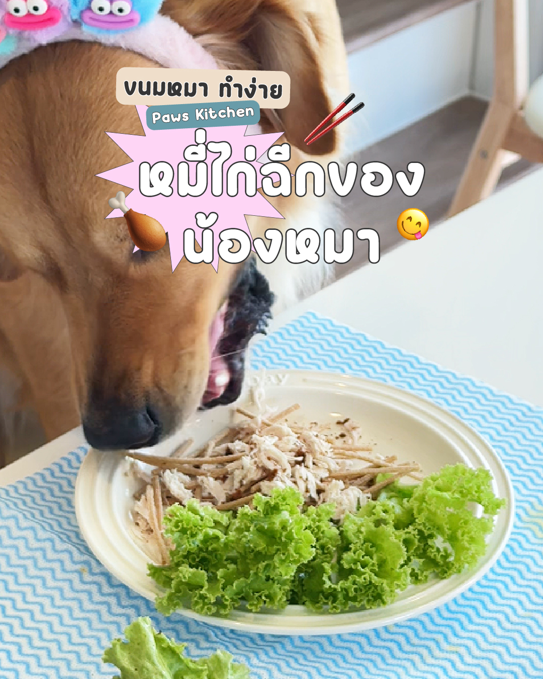 หมี่ไก่ฉีกน้องหมา
