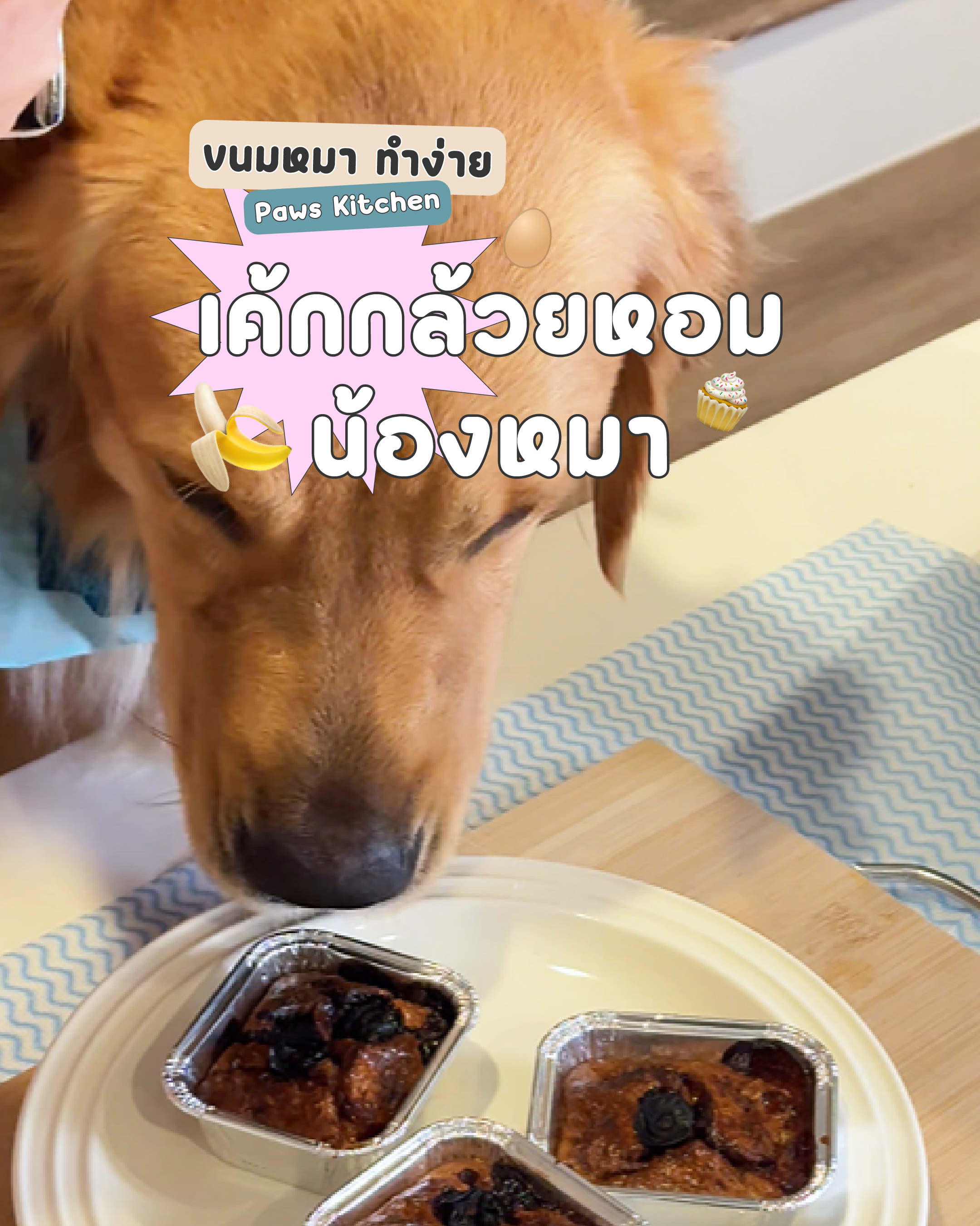 ขนมสุนัขโฮมเมด