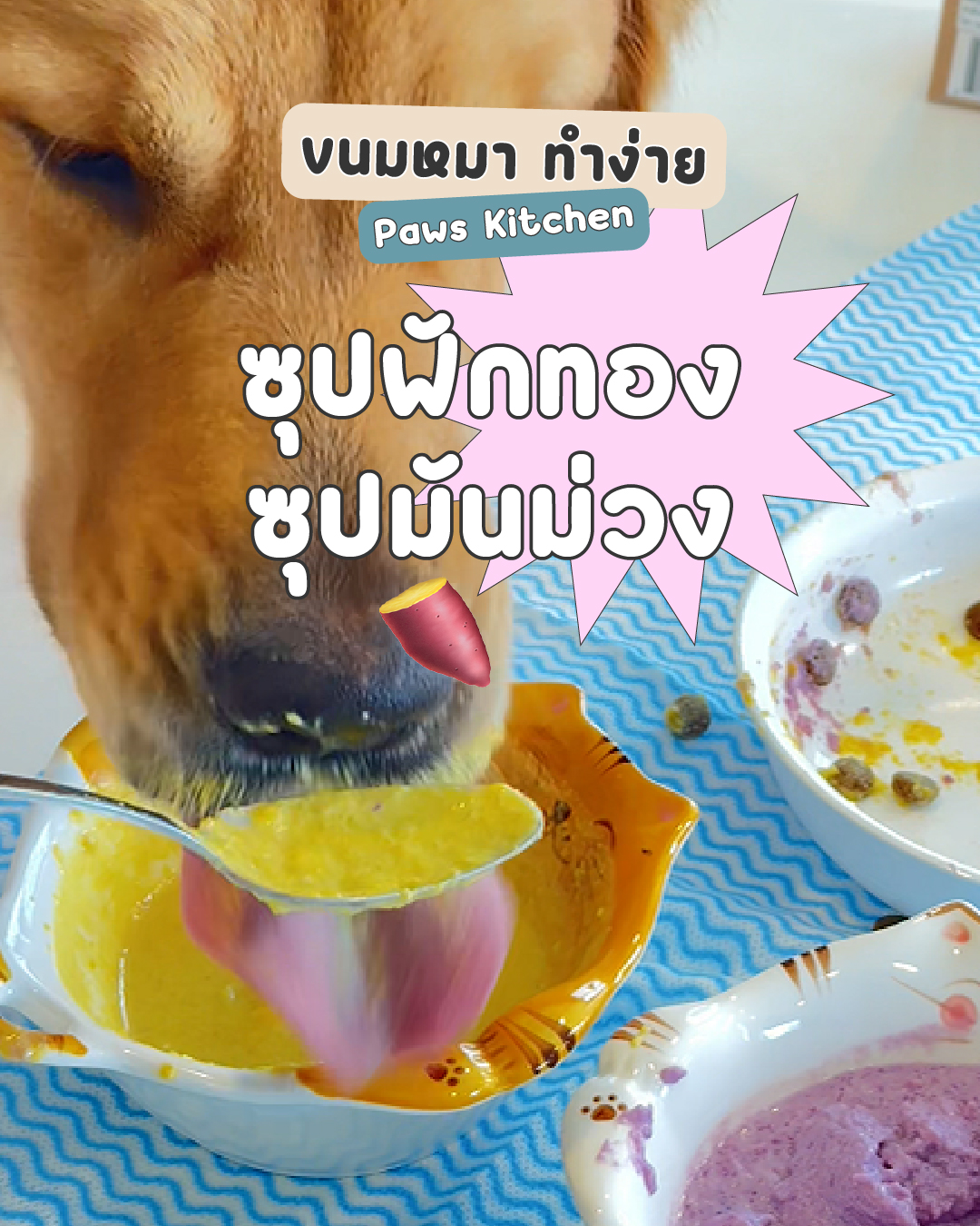 าหารสุนัขทำเอง