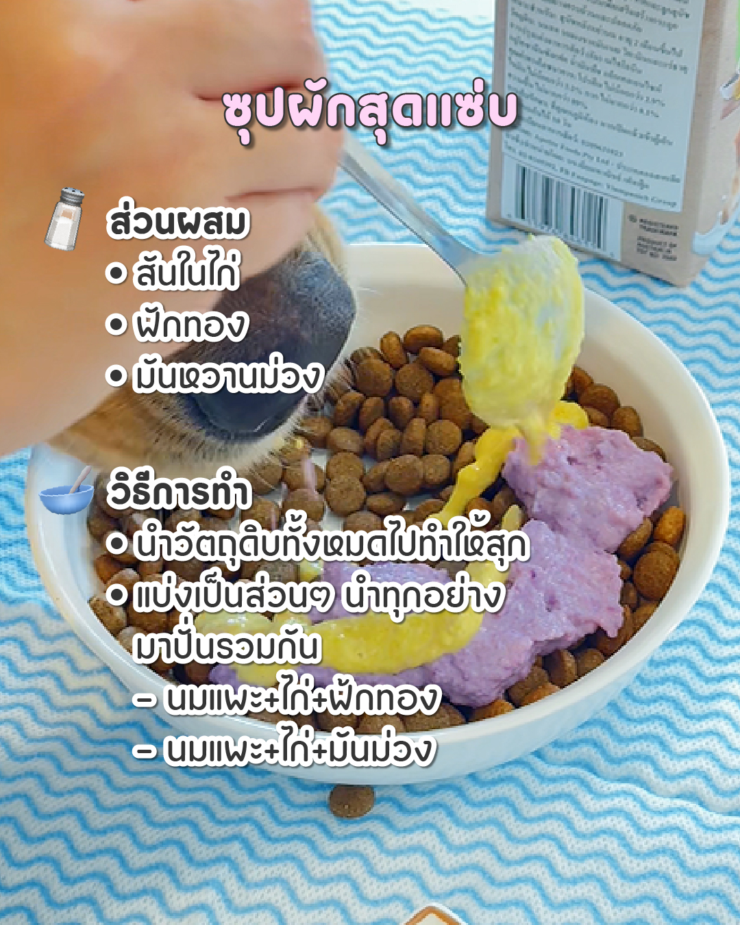อาหารสุนัขทำเอง