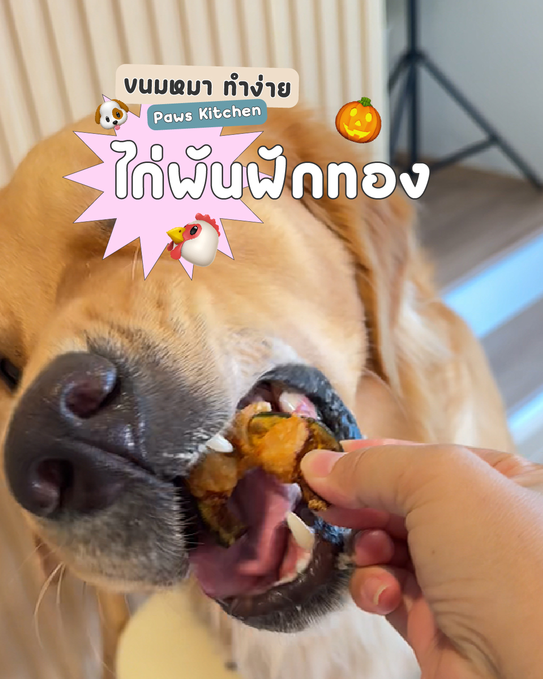 ขนมหมาทำเอง