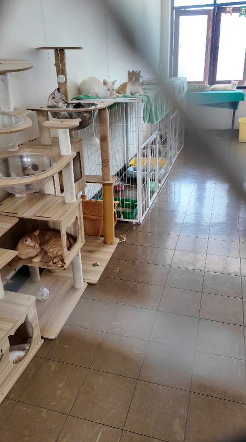บริจาคขนมแมว Crunchy Cat Immune+ L-Lysine ที่ชั้น 2 โรงพยาบาลทรวงอก นนทบุรี