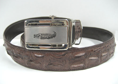 Men Genuine Crocodile Belt in Dark Brown Crocodile Leather  #CRM638B-03