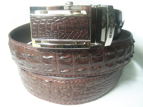 Men Genuine Crocodile Belt in Dark Brown Crocodile Leather  #CRM638B-05
