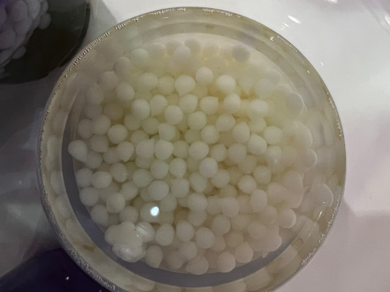 “จุลินทรีย์ Aqua bio bead” ยกระดับ "กัญชง-กัญชา" ปลอดภัยไร้สารตกค้าง