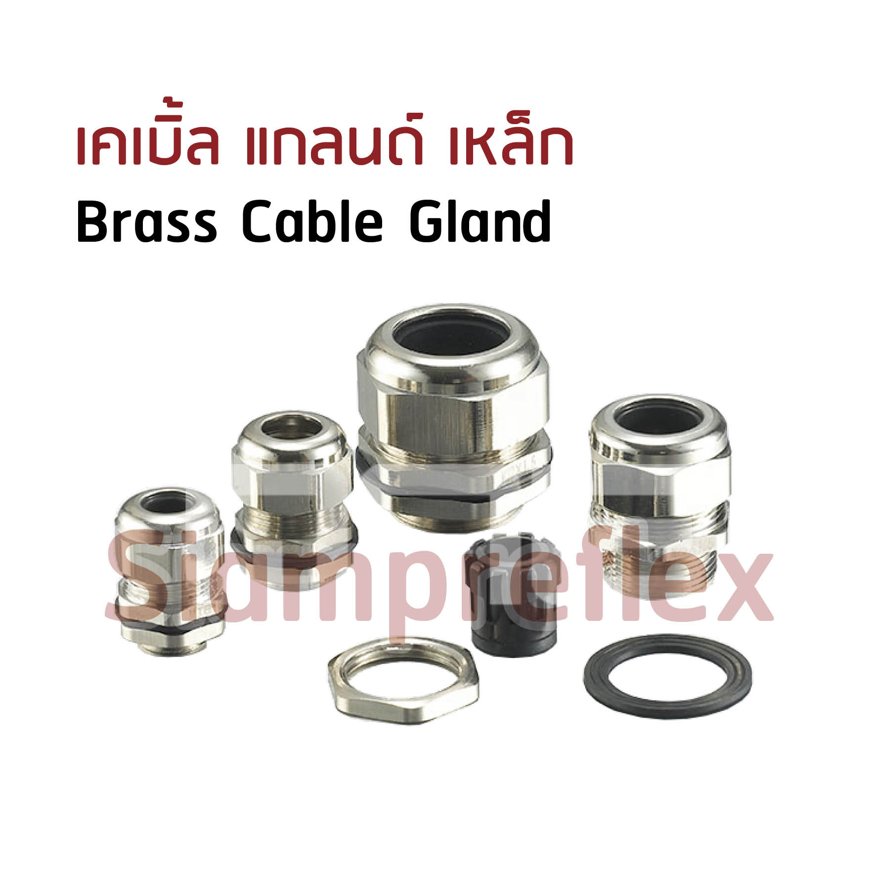 Brass Cable Gland (เคเบิ้ล แกลนด์ เหล็ก)