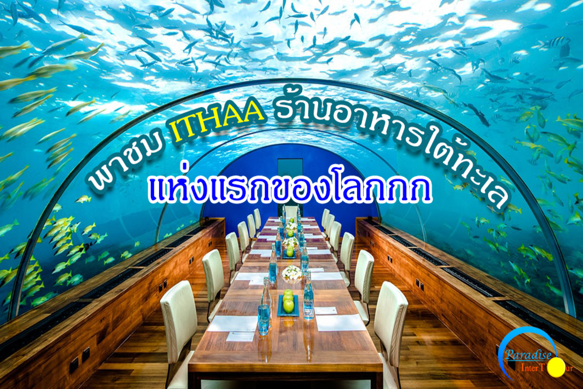 พาชม Ithaa ร้านอาหารใต้ทะเลแห่งแรกของโลก