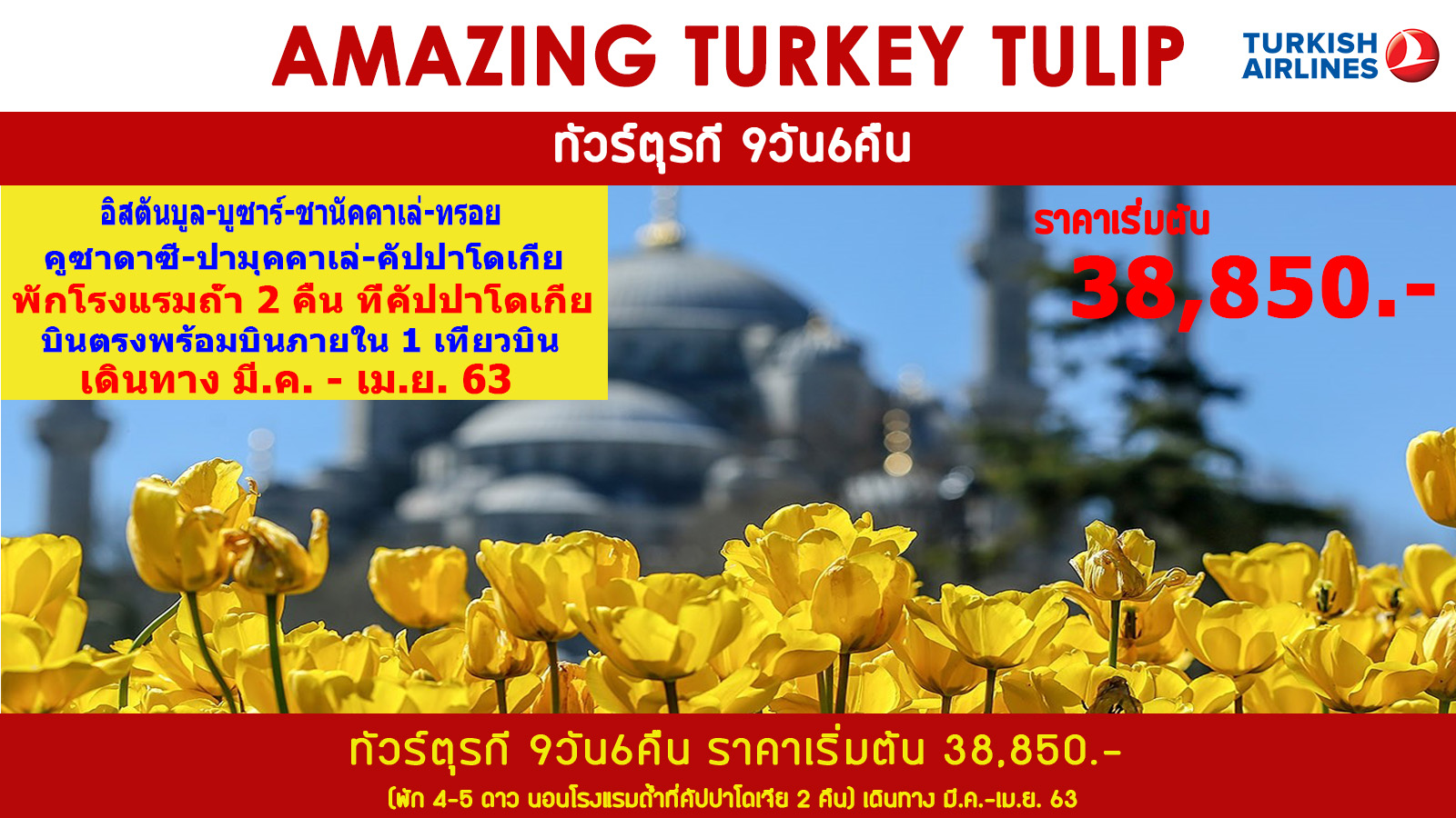 ทัวร์ตุรกี  : AMAZING TURKEY TULIP