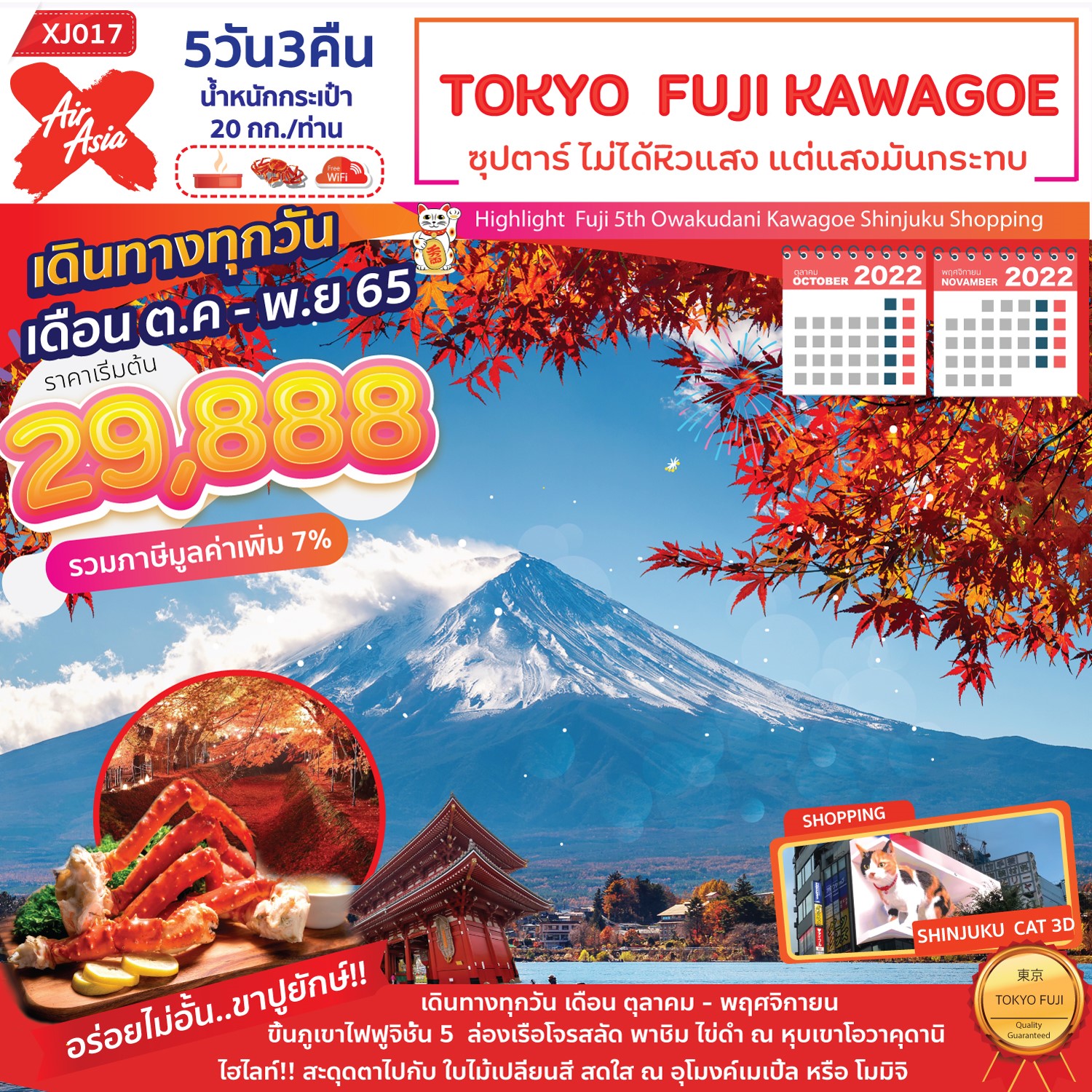 ทัวร์ญี่ปุ่น : TOKYO FUJI KAWAGOE 5D3N (XJ)(copy)