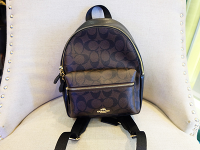 brand name mini backpack