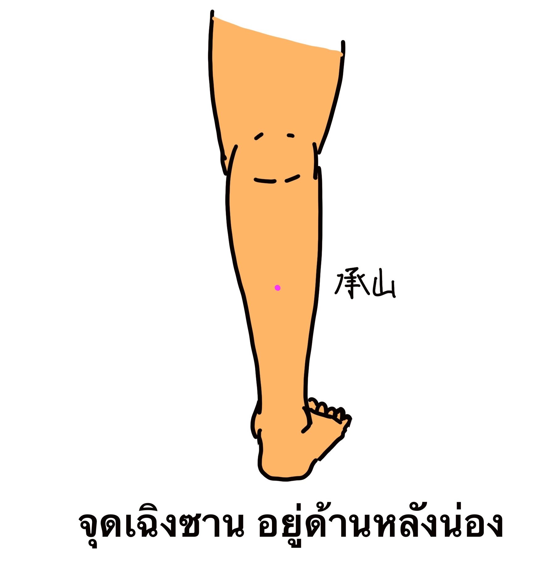 My Image 27