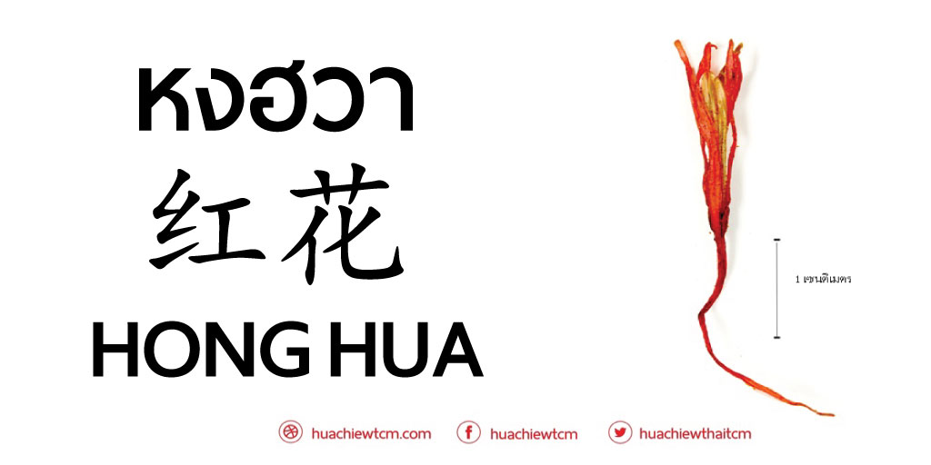 HONG HUA (红花) 
