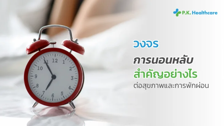 วงจรการนอนหลับ